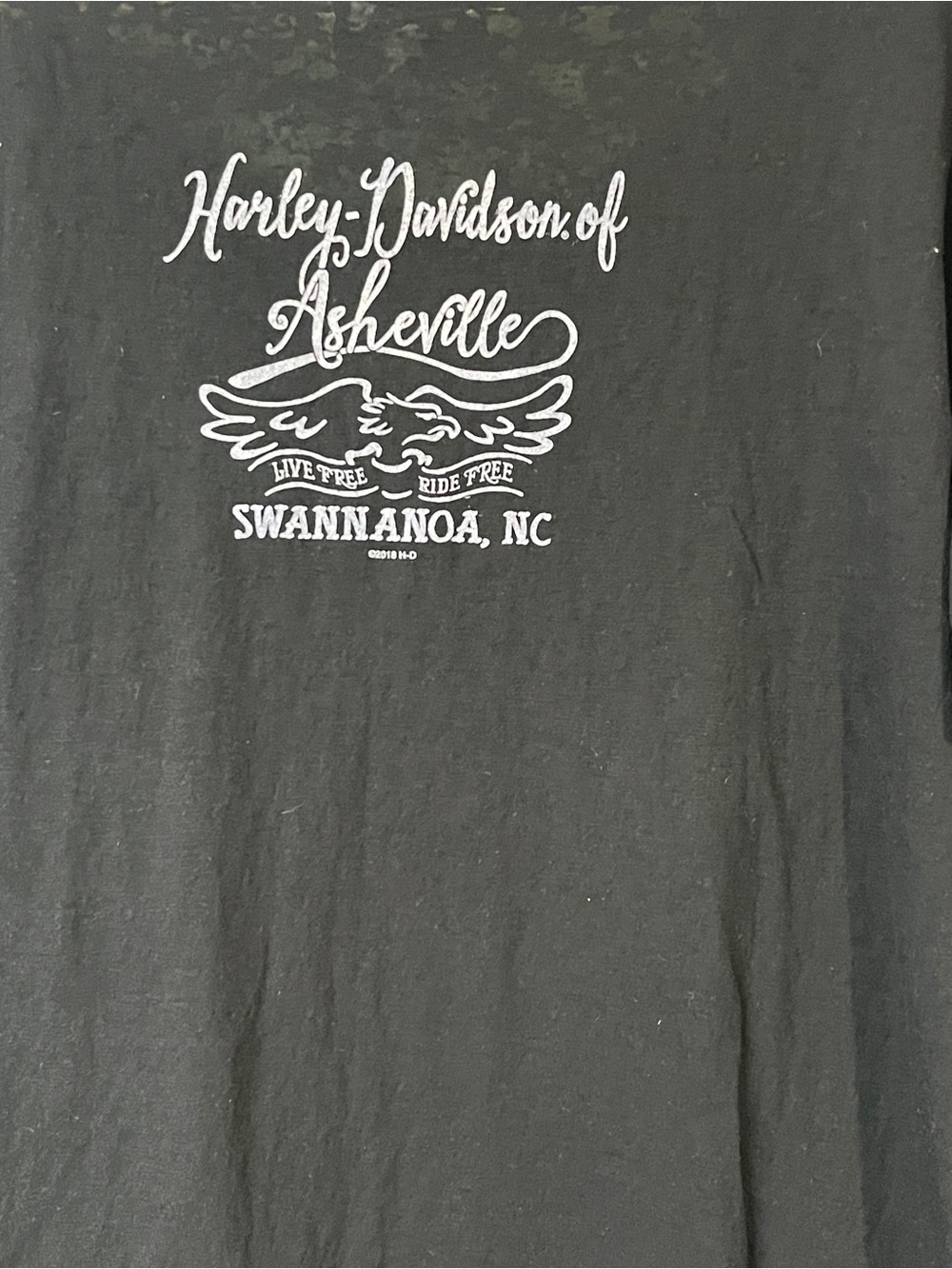 Harley-Davidson Black Tee with Cream Skull Motorcycle Graphic - Picture 7 of 10